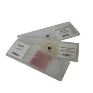 Microscope Prepared Slides
