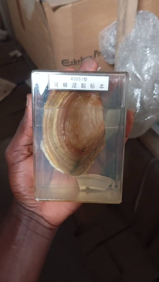 WhatsApp Image 2026 02 06 at 13.19.27