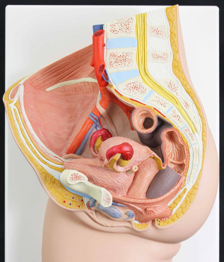 image 2026 02 04T114828.021