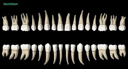 image 2026 02 04T124415.586