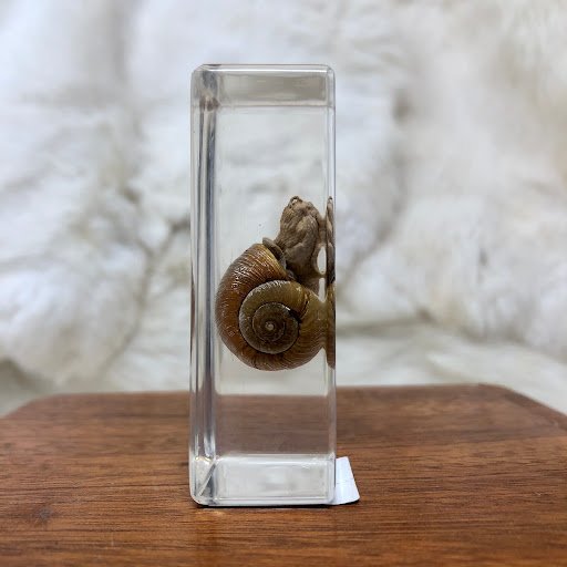 image 2026 02 06T103553.694