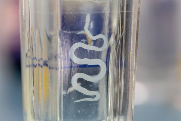 image 2026 02 06T104111.903