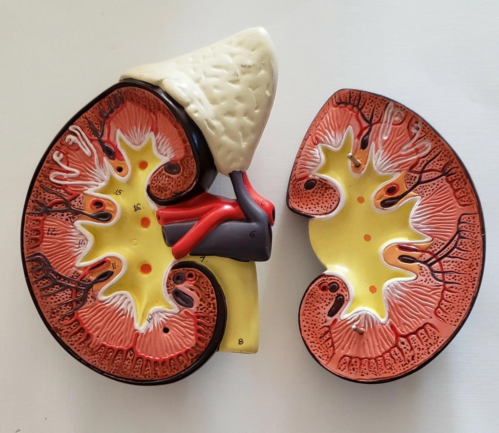 image 2026 02 06T120200.150