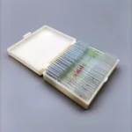 prepared microscope slide 500x500