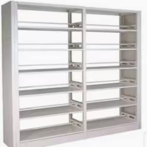 Library Bookshelf Double